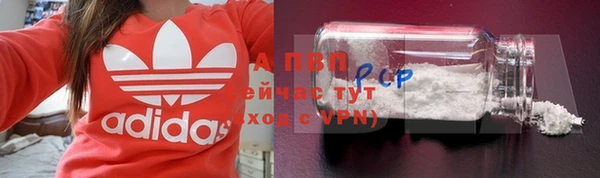 трава Балахна