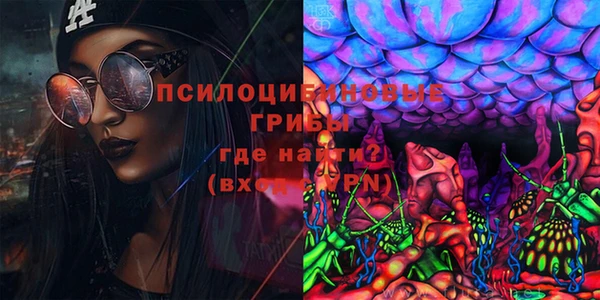 трава Балахна
